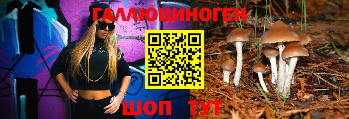 Псилоцибиновые грибы мицелий Белгород